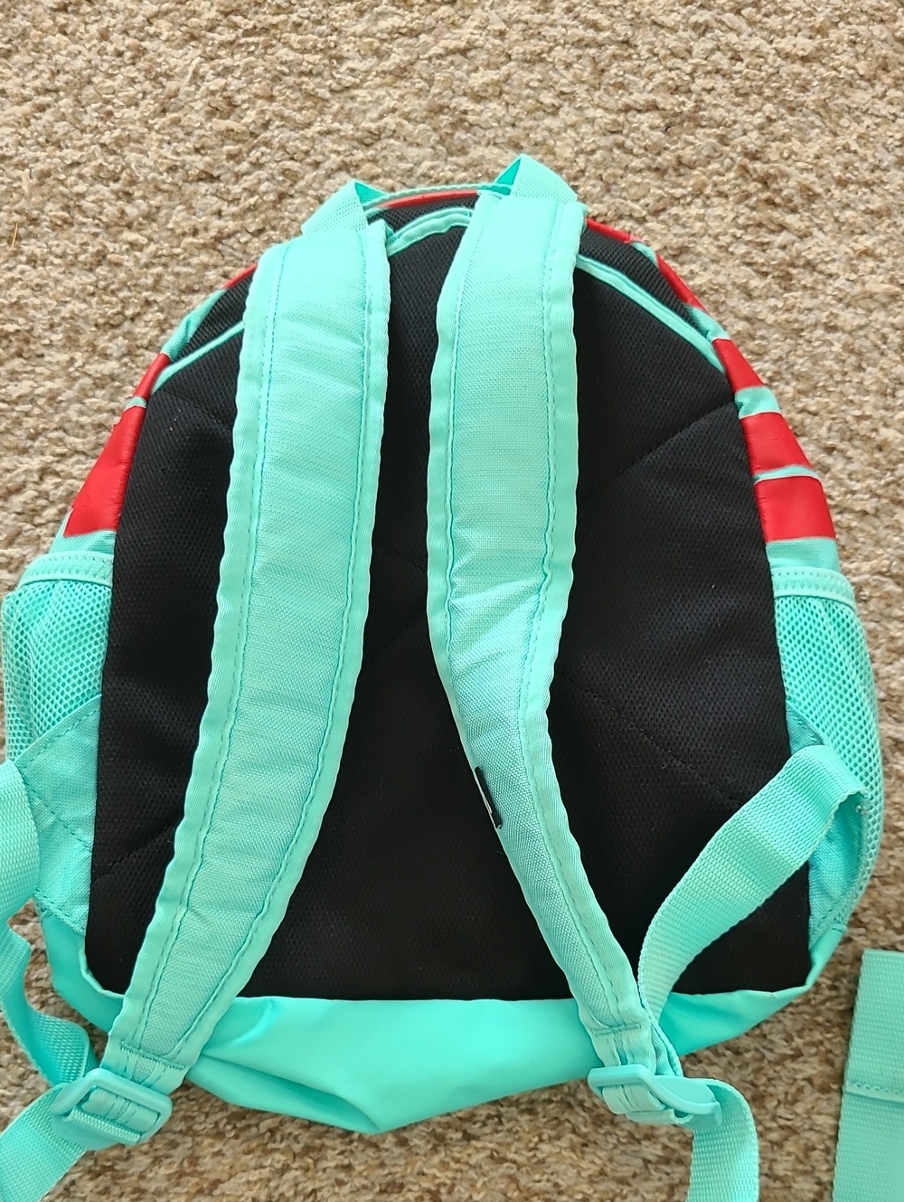 Nike Mint Green Backpack With Keychain with Red Swoosh Accents - Picture 3 of 7